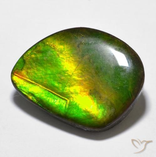 11.97ct Natural Multicolor Ammolite, Fancy, Opaque