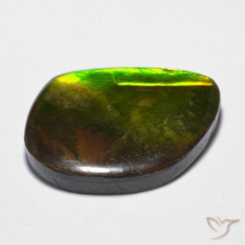 Ammolite Gemstone in 21.3 x 15.5 mm Size for Sale, Ammolite Stone in Multicolor Color