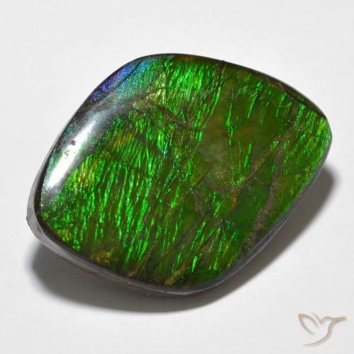 14.32 ct Multicolor Ammolite Stone, Natural Ammolite in Fancy Cabochon Shape for Sale