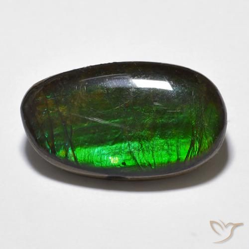 11.20ct Natural Multicolor Ammolite, Fancy, Opaque