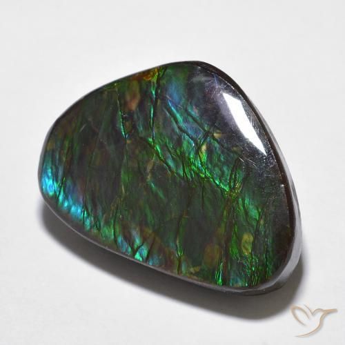 14.68 ct Multicolor Ammolite Stone, Natural Ammolite in Fancy Cabochon Shape for Sale