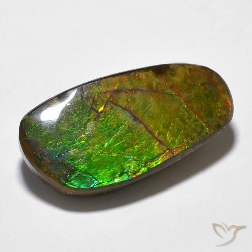 Ammolite Multicolore fancy cabochon 14,29 ct du Canada, dimension 23,3x21,2 mm, pierre gemme naturelle assemblé, pureté Opaque , 1 pièce Ammolite de couleur Multicolore, dureté Mohs de 4 à 4, Photo A