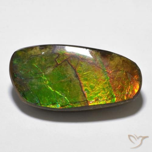 14.29 ct Multicolor Ammolite Stone, Natural Ammolite in Fancy Cabochon Shape for Sale