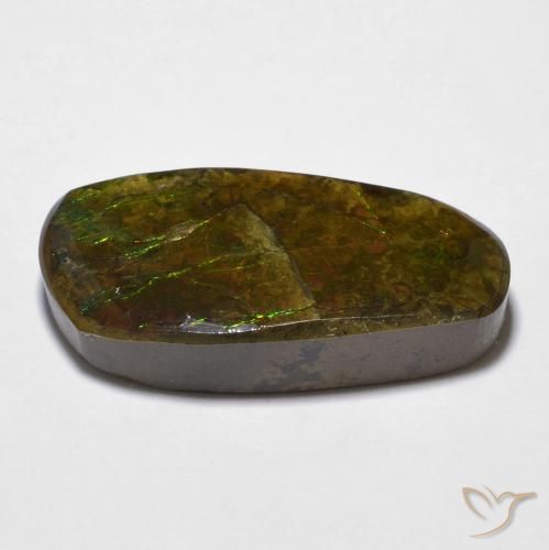 Ammolite Gemstone in 23.3 x 21.2 mm Size for Sale, Ammolite Stone in Multicolor Color