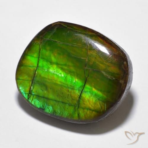 15.59 ct Multicolor Ammolite Stone, Natural Ammolite in Fancy Cabochon Shape for Sale