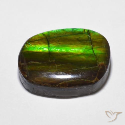 Ammolite Gemstone in 19.1 x 16.1 mm Size for Sale, Ammolite Stone in Multicolor Color