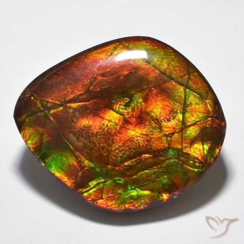 23.51 ct Fancy Ammolite, 22.9 x 19.8 mm From Canada, Photo A