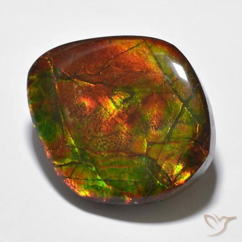 23.51 ct Multicolor Ammolite Stone, Natural Ammolite in Fancy Cabochon Shape for Sale