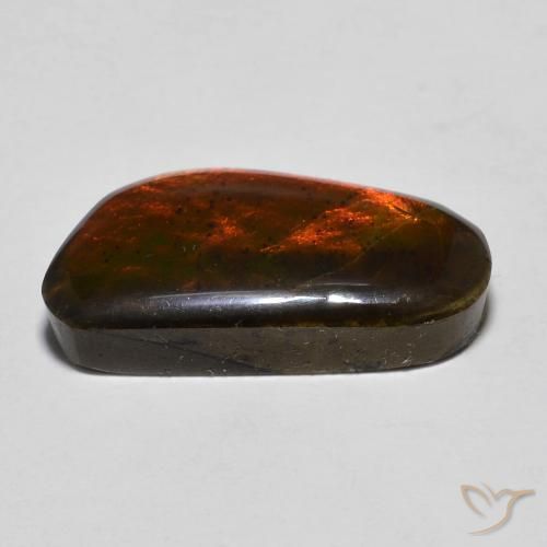 Ammolite Gemstone in 20.6 x 10.4 mm Size for Sale, Ammolite Stone in Multicolor Color
