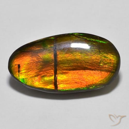 11.32ct Natural Multicolor Ammolite, Fancy, Opaque