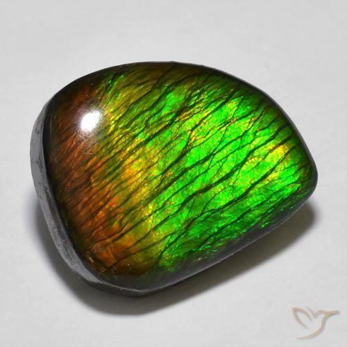 12.97ct Natural Multicolor Ammolite, Fancy, Opaque
