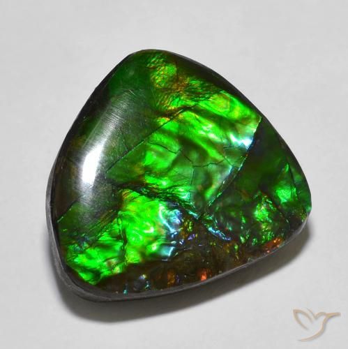 13.78ct Natural Multicolor Ammolite, Fancy, Opaque