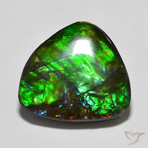 13.78 ct Multicolor Ammolite Stone, Natural Ammolite in Fancy Cabochon Shape for Sale