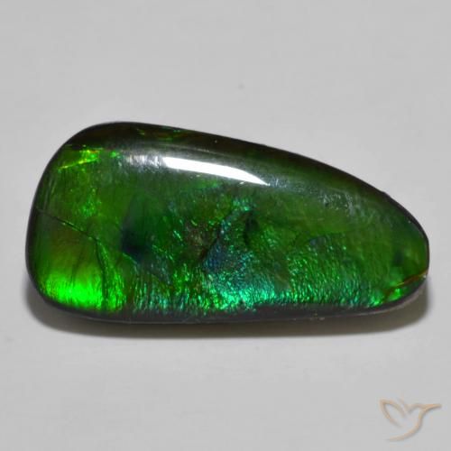 11.49ct Natural Multicolor Ammolite, Fancy, Opaque