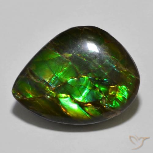 12.91 ct Multicolor Ammolite, 20.7 x 16.2 mm Odd Shaped From Canada, Photo A