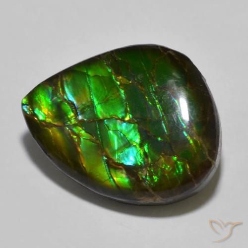 12.91 ct Multicolor Ammolite Stone, Natural Ammolite in Fancy Cabochon Shape for Sale