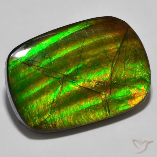 19.01 ct Multicolor Ammolite Stone, Natural Ammolite in Fancy Cabochon Shape for Sale