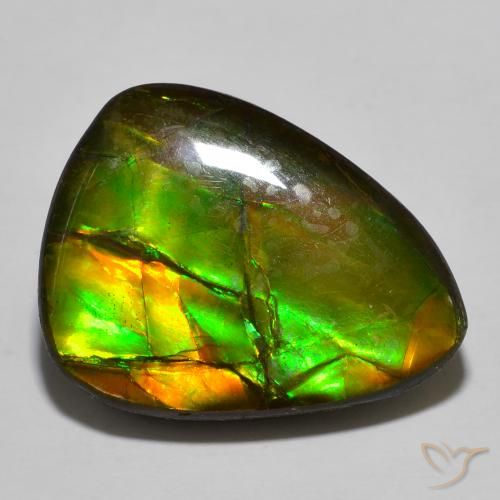 16.39 ct Multicolor Ammolite Stone, Natural Ammolite in Pear Cabochon Shape for Sale