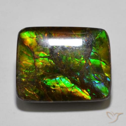 16.01ct Natural Multicolor Ammolite, Cushion, Opaque