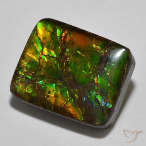 16.01 ct Multicolor Ammolite Stone, Natural Ammolite in Cushion Cabochon Shape for Sale