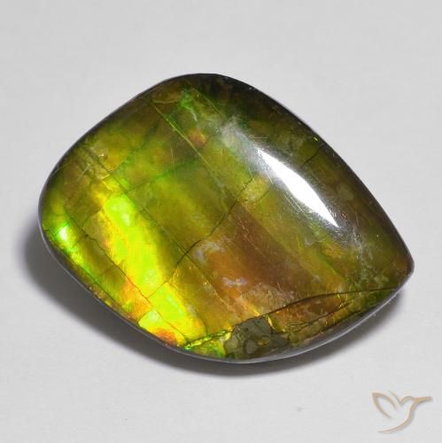 15.05ct Natural Multicolor Ammolite, Fancy, Opaque