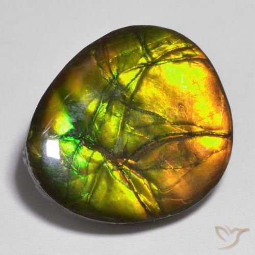 16.42 ct Fancy Ammolite, 19.7 x 17.7 mm From Canada, Photo A