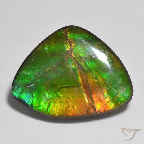 17.37ct Natural Multicolor Ammolite, Fancy, Opaque