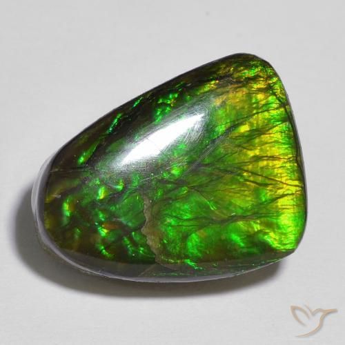 12.13 ct Multicolor Ammolite Stone, Natural Ammolite in Fancy Cabochon Shape for Sale