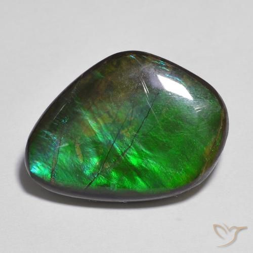 11.06 ct Multicolor Ammolite Stone, Natural Ammolite in Fancy Cabochon Shape for Sale