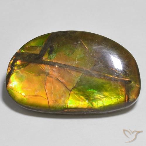 17.79 ct Multicolor Ammolite Gemstone, Ammolite Gem in Fancy Cabochon Shape for Sale.