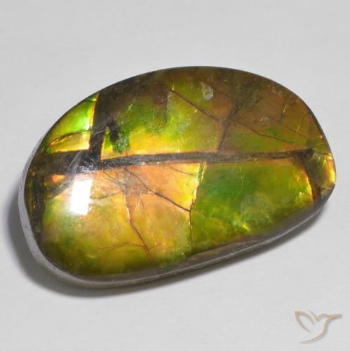 17.79 ct Multicolor Ammolite Stone, Natural Ammolite in Fancy Cabochon Shape for Sale