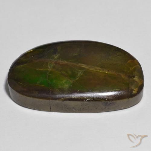 Ammolite Gemstone in 25.4 x 15.8 mm Size for Sale, Ammolite Stone in Multicolor Color