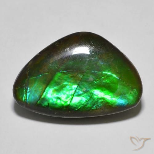 13.27ct Natural Multicolor Ammolite, Fancy, Opaque