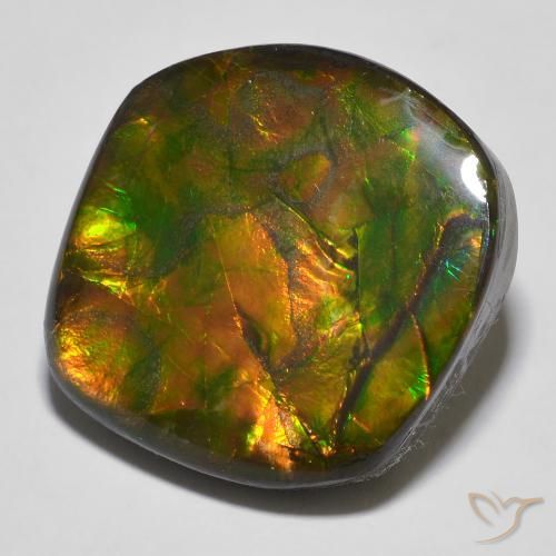 16.97ct Natural Multicolor Ammolite, Fancy, Opaque, Photo A