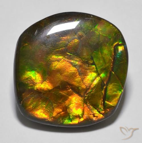 16.97 ct Multicolor Ammolite Stone, Natural Ammolite in Fancy Cabochon Shape for Sale
