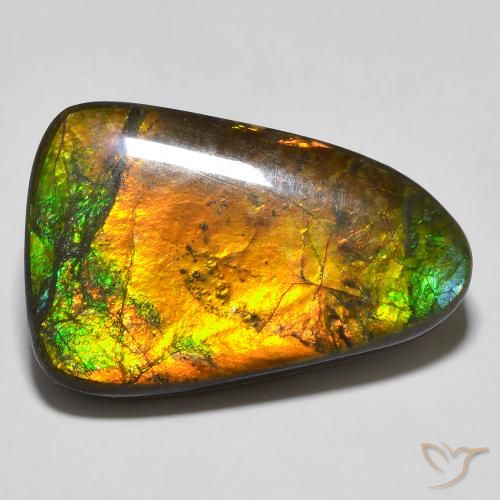16.68 ct Multicolor Ammolite Stone, Natural Ammolite in Fancy Cabochon Shape for Sale