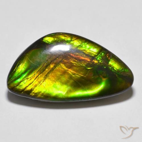 14.81ct Natural Multicolor Ammolite, Fancy, Opaque