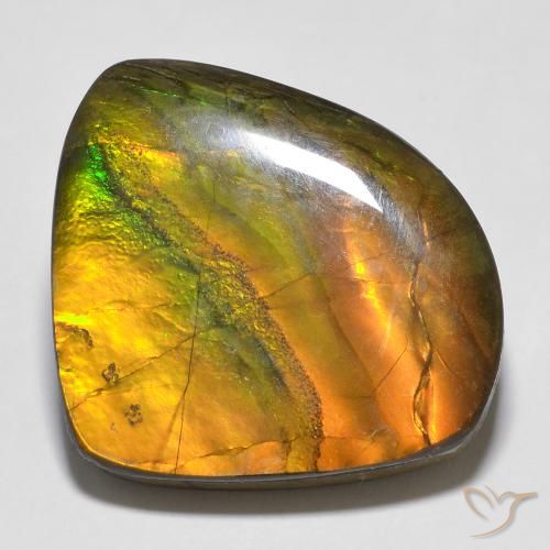 20.15ct Natural Multicolor Ammolite, Fancy, Opaque