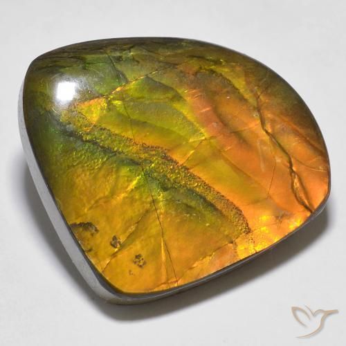 20.15 ct Multicolor Ammolite Stone, Natural Ammolite in Fancy Cabochon Shape for Sale