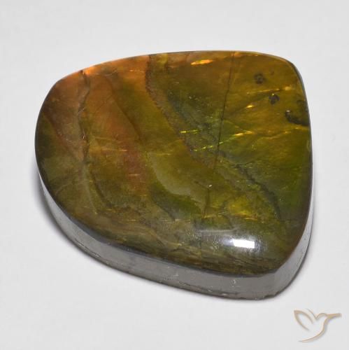 Ammolite Gemstone in 21 x 20 mm Size for Sale, Ammolite Stone in Multicolor Color