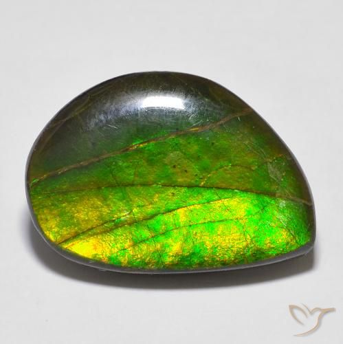 16.43 ct Multicolor Ammolite, 22.2 x 15.7 mm Odd Shaped From Canada, Photo A