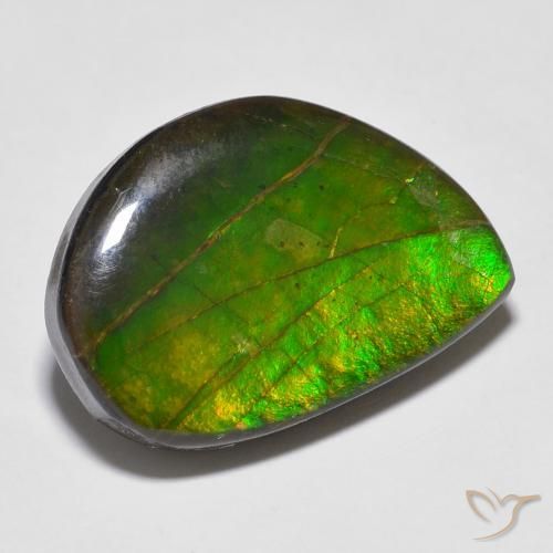 16.43 ct Multicolor Ammolite Stone, Natural Ammolite in Fancy Cabochon Shape for Sale