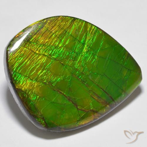 24.62 ct Multicolor Ammolite Stone, Natural Ammolite in Fancy Cabochon Shape for Sale