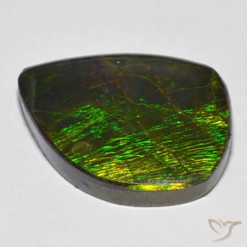 Ammolite Gemstone in 26.1 x 22.7 mm Size for Sale, Ammolite Stone in Multicolor Color