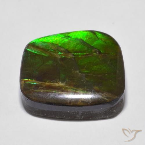Ammolite Gemstone in 15.7 x 15.2 mm Size for Sale, Ammolite Stone in Multicolor Color