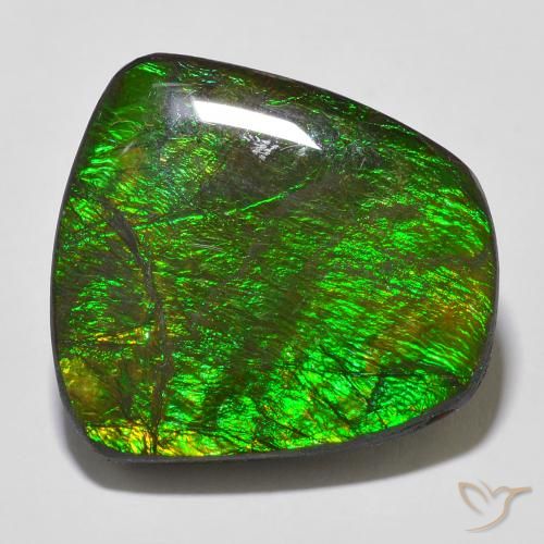 Ammolite Multicolore Fantaisie 20,7x19,3 mm du Canada, poids de 18,43 ct, pierre gemme naturelle assemblé de pureté Opaque , 1 pièce d'ammolite fancy cabochon, couleur : Multicolore, dureté de Mohs de 4 à 4, Photo A