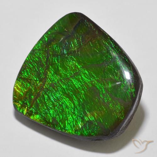 18.43 ct Multicolor Ammolite Stone, Natural Ammolite in Fancy Cabochon Shape for Sale