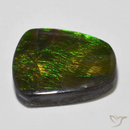 Ammolite Gemstone in 20.7 x 19.3 mm Size for Sale, Ammolite Stone in Multicolor Color