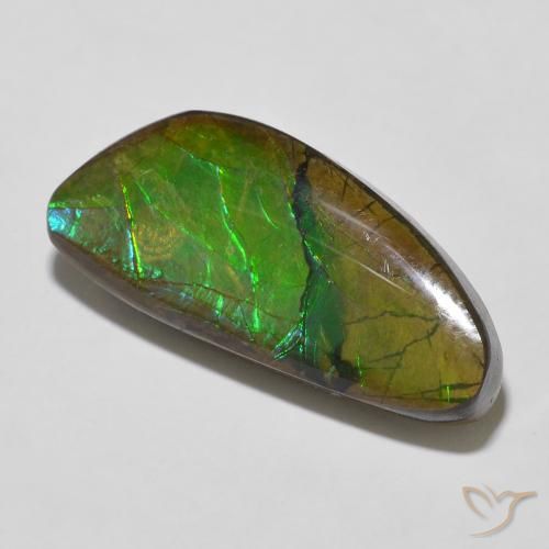 12.56 ct Multicolor Ammolite Stone, Natural Ammolite in Fancy Cabochon Shape for Sale