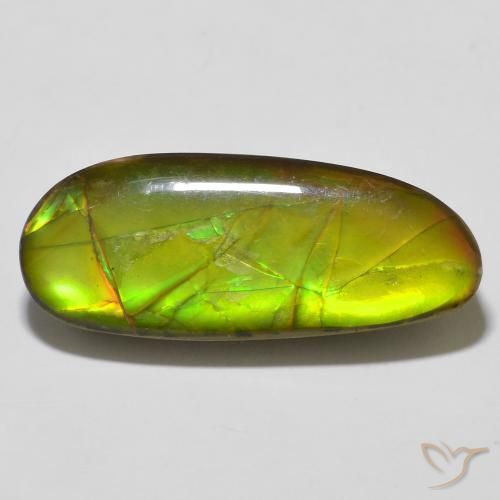 14.67 ct Multicolor Ammolite, 26.5 x 10.8 mm Odd Shaped From Canada, Photo A